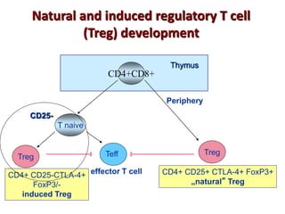 Thymus
CD4+CD8+
Periphery
Treg
CD4+ CD25+ CTLA-4+ FoxP3+
„natural” Treg
T naive
CD25-
Treg Teff
CD4+ CD25-CTLA-4+
FoxP3/-
induced Treg
effector T cell
Natural and induced regulatory T cell
(Treg) development
 