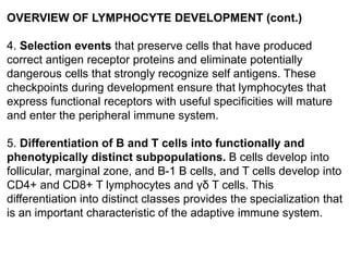 OVERVIEW OF LYMPHOCYTE DEVELOPMENT (cont.)
4. Selection events that preserve cells that have produced
correct antigen receptor proteins and eliminate potentially
dangerous cells that strongly recognize self antigens. These
checkpoints during development ensure that lymphocytes that
express functional receptors with useful specificities will mature
and enter the peripheral immune system.
5. Differentiation of B and T cells into functionally and
phenotypically distinct subpopulations. B cells develop into
follicular, marginal zone, and B-1 B cells, and T cells develop into
CD4+ and CD8+ T lymphocytes and γδ T cells. This
differentiation into distinct classes provides the specialization that
is an important characteristic of the adaptive immune system.
 