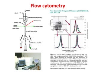 Flow cytometry
 