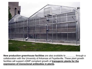 New production greenhouse facilities are also available to ………… through a
collaboration with the University of Arkansas at Fayetteville. These plant growth
facilities will support cGMP compliant growth of transgenic plants for the
expression of monoclonal antibodies in plants.
 