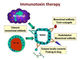 Immunotoxin therapy
 