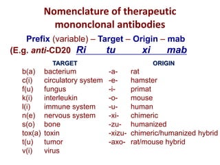Nomenclature of therapeutic
mononclonal antibodies
TARGET
b(a) bacterium
c(i) circulatory system
f(u) fungus
k(i) interleukin
l(i) immune system
n(e) nervous system
s(o) bone
tox(a) toxin
t(u) tumor
v(i) virus
ORIGIN
-a- rat
-e- hamster
-i- primat
-o- mouse
-u- human
-xi- chimeric
-zu- humanized
-xizu- chimeric/humanized hybrid
-axo- rat/mouse hybrid
Prefix (variable) – Target – Origin – mab
(E.g. anti-CD20 Ri tu xi mab)
 