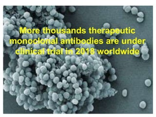 More thousands therapeutic
monoclonal antibodies are under
clinical trial in 2018 worldwide
 
