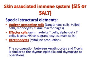 Skin associated immune system (SIS or
SALT)
Special structural elements:
• Antigen presenting cells (Langerhans cells, veiled
cells, monocytes, tissue macrophages)
• Effector cells (gamma-delta T cells, alpha-beta T
cells, B cells, NK cells, granulocytes, mast cells),
• Keratinocytes (cytokine production).
The co-operation between keratinocytes and T cells
is similar to the thymus epithelia and thymocyte co-
operations.
 