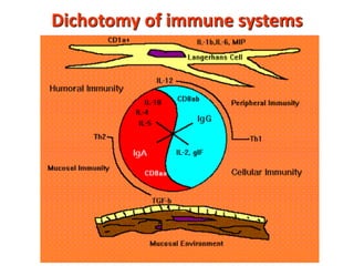 Dichotomy of immune systems
 