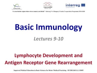 Basic Immunology
Lectures 9-10
Lymphocyte Development and
Antigen Receptor Gene Rearrangement
 