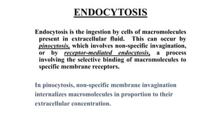 ENDOCYTOSIS
Endocytosis is the ingestion by cells of macromolecules
present in extracellular fluid. This can occur by
pinocytosis, which involves non-specific invagination,
or by receptor-mediated endocytosis, a process
involving the selective binding of macromolecules to
specific membrane receptors.
In pinocytosis, non-specific membrane invagination
internalizes macromolecules in proportion to their
extracellular concentration.
 