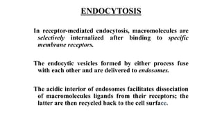 ENDOCYTOSIS
In receptor-mediated endocytosis, macromolecules are
selectively internalized after binding to specific
membrane receptors.
The endocytic vesicles formed by either process fuse
with each other and are delivered to endosomes.
The acidic interior of endosomes facilitates dissociation
of macromolecules ligands from their receptors; the
latter are then recycled back to the cell surface.
 