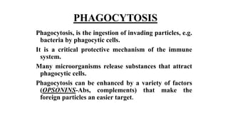 PHAGOCYTOSIS
Phagocytosis, is the ingestion of invading particles, e.g.
bacteria by phagocytic cells.
It is a critical protective mechanism of the immune
system.
Many microorganisms release substances that attract
phagocytic cells.
Phagocytosis can be enhanced by a variety of factors
(OPSONINS-Abs, complements) that make the
foreign particles an easier target.
 