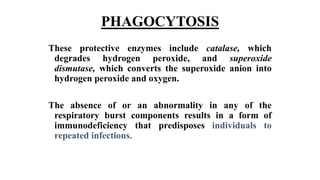 PHAGOCYTOSIS
These protective enzymes include catalase, which
degrades hydrogen peroxide, and superoxide
dismutase, which converts the superoxide anion into
hydrogen peroxide and oxygen.
The absence of or an abnormality in any of the
respiratory burst components results in a form of
immunodeficiency that predisposes individuals to
repeated infections.
 
