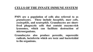CELLS OF THE INNATE IMMUNE SYSTEM
PMN are a population of cells also referred to as
granulocytes. These include basophils, mast cells,
eosinophils, and neutrophils. Granulocytes are short-
lived phagocytic cells that contain enzyme-rich
lysosomes, which can facilitate destruction of
microorganisms.
Granulocytes also produce peroxide, superoxide
radicals, lactoferrin which are toxic and bactericidal
to the organisms.
 