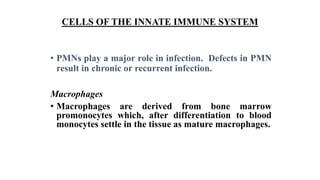 CELLS OF THE INNATE IMMUNE SYSTEM
• PMNs play a major role in infection. Defects in PMN
result in chronic or recurrent infection.
Macrophages
• Macrophages are derived from bone marrow
promonocytes which, after differentiation to blood
monocytes settle in the tissue as mature macrophages.
 