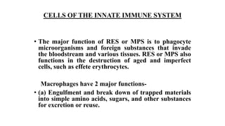 CELLS OF THE INNATE IMMUNE SYSTEM
• The major function of RES or MPS is to phagocyte
microorganisms and foreign substances that invade
the bloodstream and various tissues. RES or MPS also
functions in the destruction of aged and imperfect
cells, such as effete erythrocytes.
Macrophages have 2 major functions-
• (a) Engulfment and break down of trapped materials
into simple amino acids, sugars, and other substances
for excretion or reuse.
 
