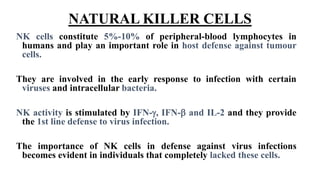 NATURAL KILLER CELLS
NK cells constitute 5%-10% of peripheral-blood lymphocytes in
humans and play an important role in host defense against tumour
cells.
They are involved in the early response to infection with certain
viruses and intracellular bacteria.
NK activity is stimulated by IFN-, IFN- and IL-2 and they provide
the 1st line defense to virus infection.
The importance of NK cells in defense against virus infections
becomes evident in individuals that completely lacked these cells.
 