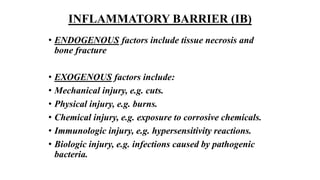 INFLAMMATORY BARRIER (IB)
• ENDOGENOUS factors include tissue necrosis and
bone fracture
• EXOGENOUS factors include:
• Mechanical injury, e.g. cuts.
• Physical injury, e.g. burns.
• Chemical injury, e.g. exposure to corrosive chemicals.
• Immunologic injury, e.g. hypersensitivity reactions.
• Biologic injury, e.g. infections caused by pathogenic
bacteria.
 
