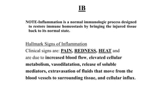IB
NOTE-Inflammation is a normal immunologic process designed
to restore immune homeostasis by bringing the injured tissue
back to its normal state.
Hallmark Signs of Inflammation
Clinical signs are: PAIN, REDNESS, HEAT and
are due to increased blood flow, elevated cellular
metabolism, vasodilatation, release of soluble
mediators, extravasation of fluids that move from the
blood vessels to surrounding tissue, and cellular influx.
 