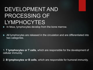 DEVELOPMENT AND
PROCESSING OF
LYMPHOCYTES
 In fetus, lymphocytes develop from the bone marrow.
 All lymphocytes are released in the circulation and are differentiated into
two categories.
1. T lymphocytes or T cells, which are responsible for the development of
cellular immunity
2. B lymphocytes or B cells, which are responsible for humoral immunity.
 