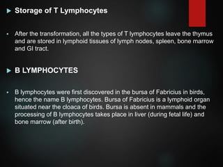  Storage of T Lymphocytes
 After the transformation, all the types of T lymphocytes leave the thymus
and are stored in lymphoid tissues of lymph nodes, spleen, bone marrow
and GI tract.
 B LYMPHOCYTES
 B lymphocytes were first discovered in the bursa of Fabricius in birds,
hence the name B lymphocytes. Bursa of Fabricius is a lymphoid organ
situated near the cloaca of birds. Bursa is absent in mammals and the
processing of B lymphocytes takes place in liver (during fetal life) and
bone marrow (after birth).
 