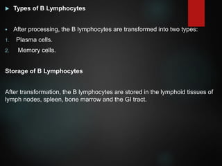  Types of B Lymphocytes
 After processing, the B lymphocytes are transformed into two types:
1. Plasma cells.
2. Memory cells.
Storage of B Lymphocytes
After transformation, the B lymphocytes are stored in the lymphoid tissues of
lymph nodes, spleen, bone marrow and the GI tract.
 