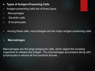  Types of Antigen-Presenting Cells
 Antigen-presenting cells are of three types:
1. Macrophages
2. Dendritic cells
3. B lymphocytes.
 Among these cells, macrophages are the major antigen-presenting cells.
1. Macrophages
Macrophages are the large phagocytic cells, which digest the invading
organisms to release the antigen. The macrophages are present along with
lymphocytes in almost all the lymphoid tissues.
 