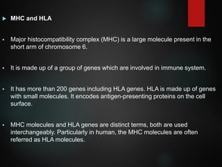  MHC and HLA
 Major histocompatibility complex (MHC) is a large molecule present in the
short arm of chromosome 6.
 It is made up of a group of genes which are involved in immune system.
 It has more than 200 genes including HLA genes. HLA is made up of genes
with small molecules. It encodes antigen-presenting proteins on the cell
surface.
 MHC molecules and HLA genes are distinct terms, both are used
interchangeably. Particularly in human, the MHC molecules are often
referred as HLA molecules.
 