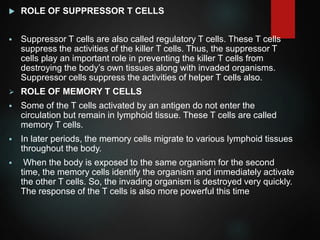  ROLE OF SUPPRESSOR T CELLS
 Suppressor T cells are also called regulatory T cells. These T cells
suppress the activities of the killer T cells. Thus, the suppressor T
cells play an important role in preventing the killer T cells from
destroying the body’s own tissues along with invaded organisms.
Suppressor cells suppress the activities of helper T cells also.
 ROLE OF MEMORY T CELLS
 Some of the T cells activated by an antigen do not enter the
circulation but remain in lymphoid tissue. These T cells are called
memory T cells.
 In later periods, the memory cells migrate to various lymphoid tissues
throughout the body.
 When the body is exposed to the same organism for the second
time, the memory cells identify the organism and immediately activate
the other T cells. So, the invading organism is destroyed very quickly.
The response of the T cells is also more powerful this time
 