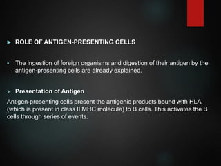  ROLE OF ANTIGEN-PRESENTING CELLS
 The ingestion of foreign organisms and digestion of their antigen by the
antigen-presenting cells are already explained.
 Presentation of Antigen
Antigen-presenting cells present the antigenic products bound with HLA
(which is present in class II MHC molecule) to B cells. This activates the B
cells through series of events.
 