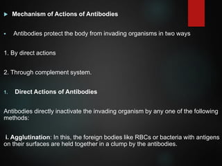  Mechanism of Actions of Antibodies
 Antibodies protect the body from invading organisms in two ways
1. By direct actions
2. Through complement system.
1. Direct Actions of Antibodies
Antibodies directly inactivate the invading organism by any one of the following
methods:
i. Agglutination: In this, the foreign bodies like RBCs or bacteria with antigens
on their surfaces are held together in a clump by the antibodies.
 