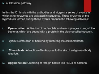  a. Classical pathway
In this the C1 binds with the antibodies and triggers a series of events in
which other enzymes are activated in sequence. These enzymes or the
byproducts formed during these events produce the following activities:
i. Opsonization: Activation of neutrophils and macrophages to engulf the
bacteria, which are bound with a protein in the plasma called opsonin.
ii. Lysis: Destruction of bacteria by rupturing the cell membrane.
iii. Chemotaxis: Attraction of leukocytes to the site of antigen-antibody
reaction.
iv. Agglutination: Clumping of foreign bodies like RBCs or bacteria.
 