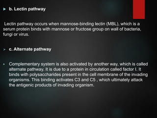  b. Lectin pathway
Lectin pathway occurs when mannose-binding lectin (MBL), which is a
serum protein binds with mannose or fructose group on wall of bacteria,
fungi or virus.
 c. Alternate pathway
 Complementary system is also activated by another way, which is called
alternate pathway. It is due to a protein in circulation called factor I. It
binds with polysaccharides present in the cell membrane of the invading
organisms. This binding activates C3 and C5 , which ultimately attack
the antigenic products of invading organism.
 