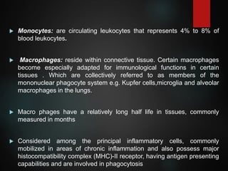  Monocytes: are circulating leukocytes that represents 4% to 8% of
blood leukocytes.
 Macrophages: reside within connective tissue. Certain macrophages
become especially adapted for immunological functions in certain
tissues . Which are collectively referred to as members of the
mononuclear phagocyte system e.g. Kupfer cells,microglia and alveolar
macrophages in the lungs.
 Macro phages have a relatively long half life in tissues, commonly
measured in months
 Considered among the principal inflammatory cells, commonly
mobilized in areas of chronic inflammation and also possess major
histocompatibility complex (MHC)-II receptor, having antigen presenting
capabilities and are involved in phagocytosis
 