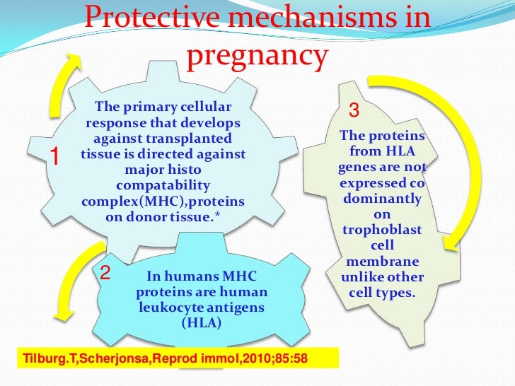 Immunology and recurrent pregnancy loss