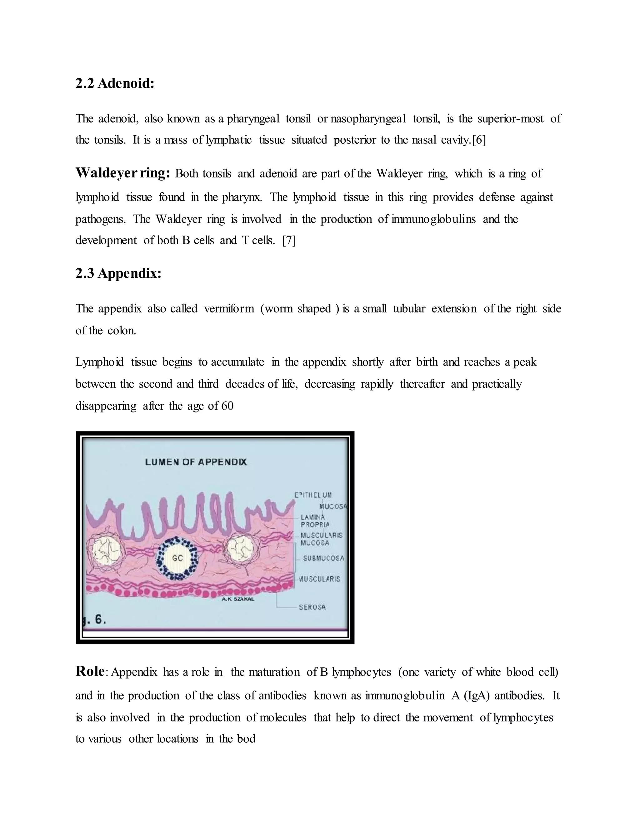 2.2 Adenoid:
The adenoid, also known as a pharyngeal tonsil or nasopharyngeal tonsil, is the superior-most of
the tonsils. It is a mass of lymphatic tissue situated posterior to the nasal cavity.[6]
Waldeyerring: Both tonsils and adenoid are part of the Waldeyer ring, which is a ring of
lymphoid tissue found in the pharynx. The lymphoid tissue in this ring provides defense against
pathogens. The Waldeyer ring is involved in the production of immunoglobulins and the
development of both B cells and T cells. [7]
2.3 Appendix:
The appendix also called vermiform (worm shaped ) is a small tubular extension of the right side
of the colon.
Lymphoid tissue begins to accumulate in the appendix shortly after birth and reaches a peak
between the second and third decades of life, decreasing rapidly thereafter and practically
disappearing after the age of 60
Role: Appendix has a role in the maturation of B lymphocytes (one variety of white blood cell)
and in the production of the class of antibodies known as immunoglobulin A (IgA) antibodies. It
is also involved in the production of molecules that help to direct the movement of lymphocytes
to various other locations in the bod
 