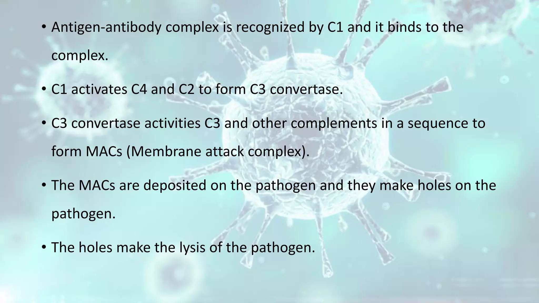 • Antigen-antibody complex is recognized by C1 and it binds to the
complex.
• C1 activates C4 and C2 to form C3 convertase.
• C3 convertase activities C3 and other complements in a sequence to
form MACs (Membrane attack complex).
• The MACs are deposited on the pathogen and they make holes on the
pathogen.
• The holes make the lysis of the pathogen.
 
