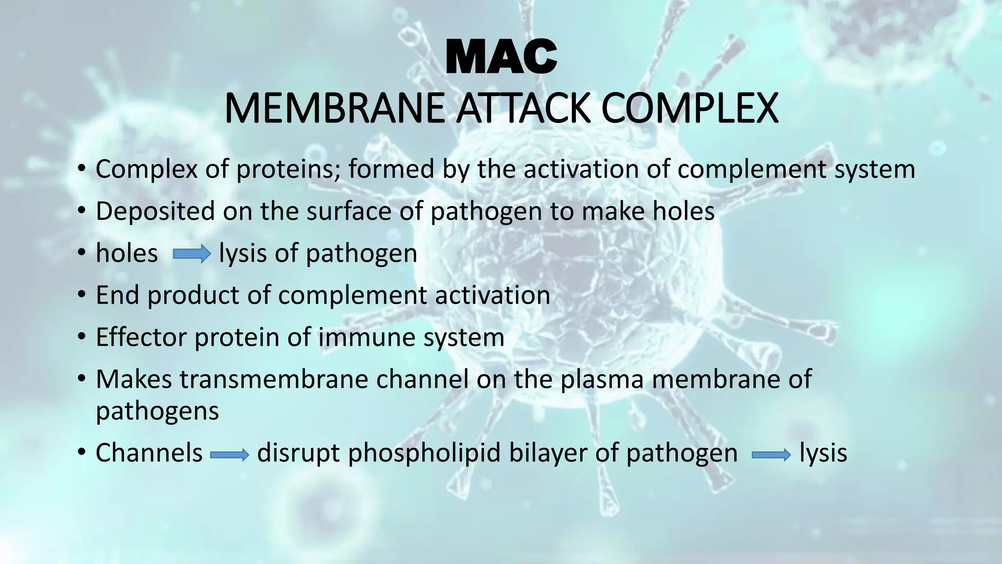 MAC
MEMBRANE ATTACK COMPLEX
• Complex of proteins; formed by the activation of complement system
• Deposited on the surface of pathogen to make holes
• holes lysis of pathogen
• End product of complement activation
• Effector protein of immune system
• Makes transmembrane channel on the plasma membrane of
pathogens
• Channels disrupt phospholipid bilayer of pathogen lysis
 