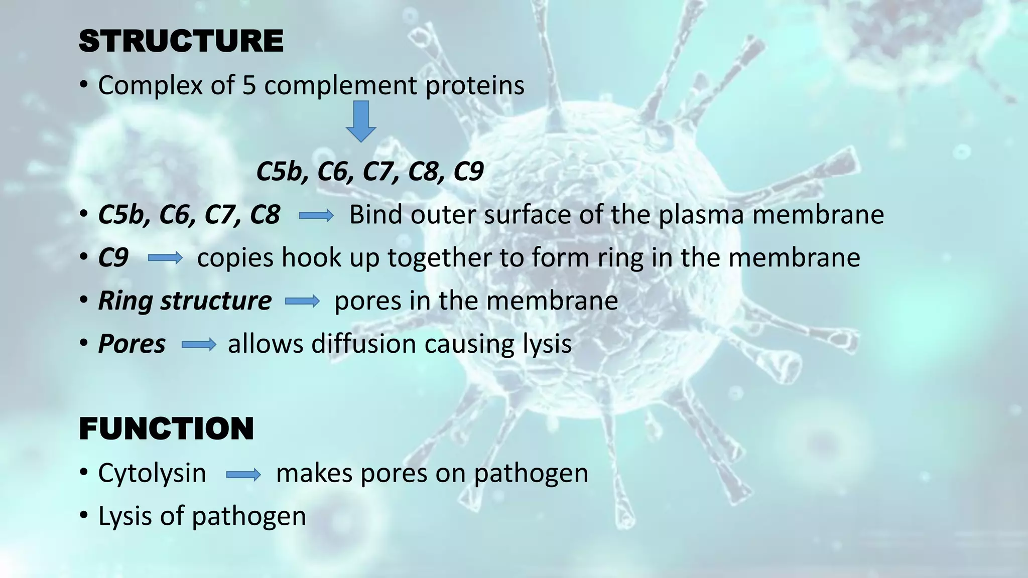 STRUCTURE
• Complex of 5 complement proteins
C5b, C6, C7, C8, C9
• C5b, C6, C7, C8 Bind outer surface of the plasma membrane
• C9 copies hook up together to form ring in the membrane
• Ring structure pores in the membrane
• Pores allows diffusion causing lysis
FUNCTION
• Cytolysin makes pores on pathogen
• Lysis of pathogen
 