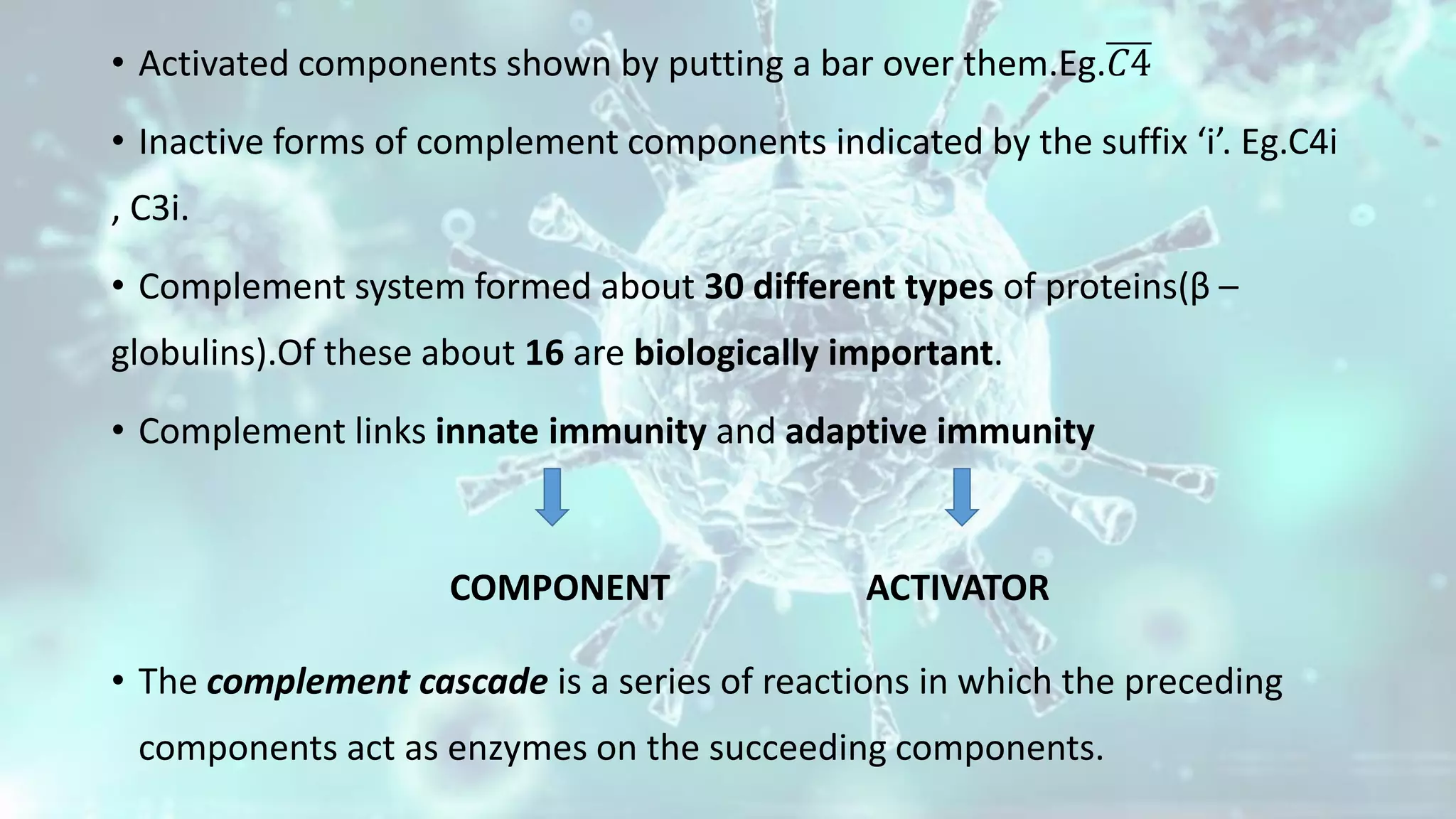 • Activated components shown by putting a bar over them.Eg.𝐶4
• Inactive forms of complement components indicated by the suffix ‘i’. Eg.C4i
, C3i.
• Complement system formed about 30 different types of proteins(β –
globulins).Of these about 16 are biologically important.
• Complement links innate immunity and adaptive immunity
COMPONENT ACTIVATOR
• The complement cascade is a series of reactions in which the preceding
components act as enzymes on the succeeding components.
 