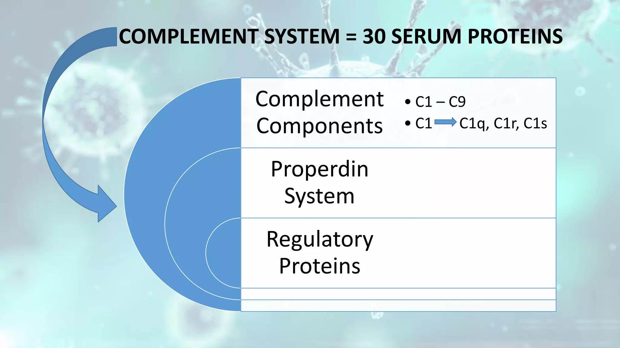 COMPLEMENT SYSTEM = 30 SERUM PROTEINS
Complement
Components
Properdin
System
Regulatory
Proteins
• C1 – C9
• C1 C1q, C1r, C1s
 
