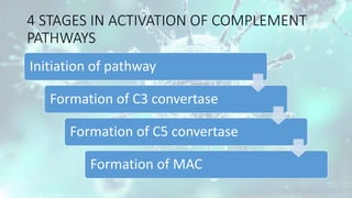 COMPLEMENT SYSTEM | PDF