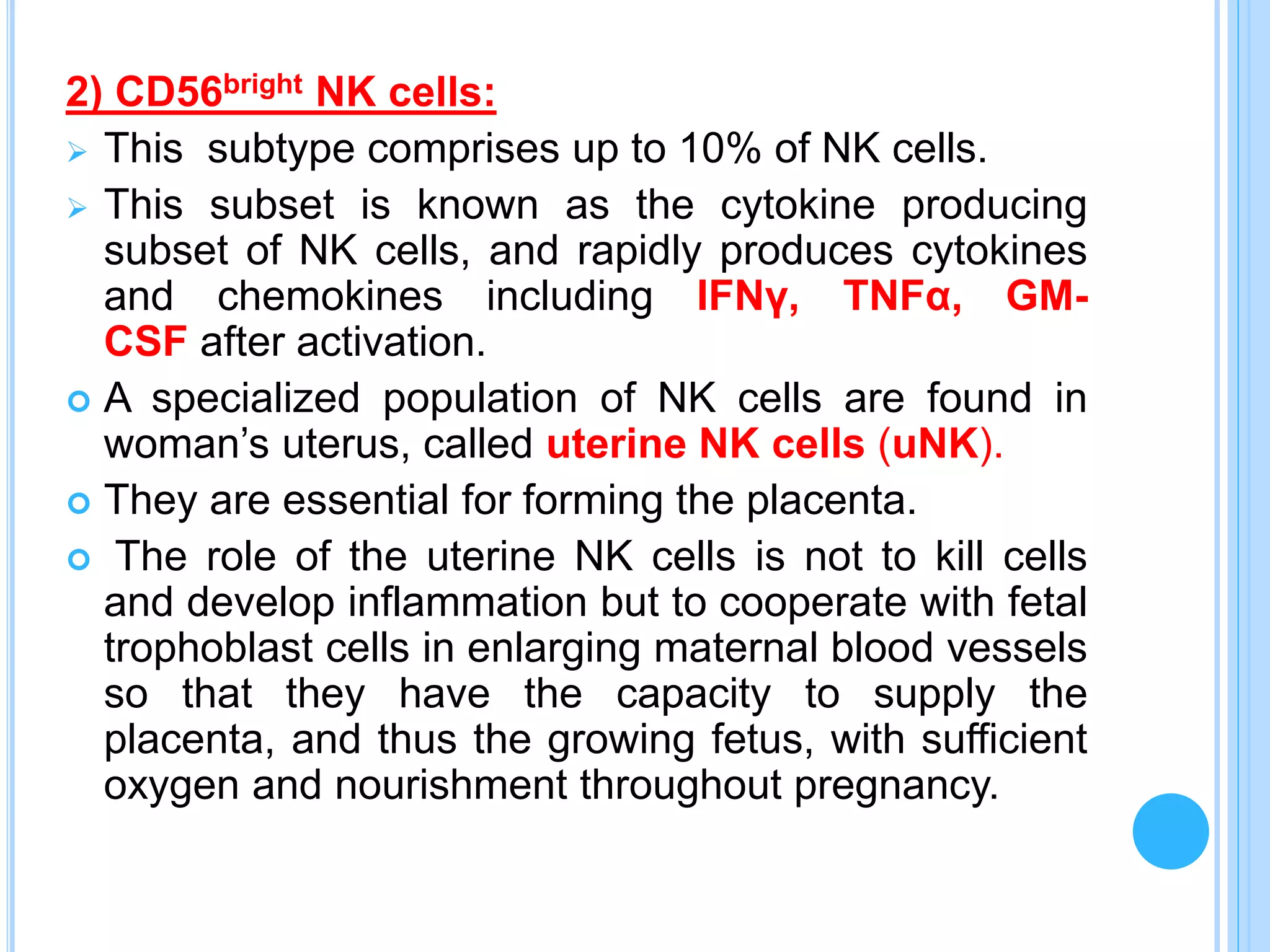 2) CD56bright NK cells:
 This subtype comprises up to 10% of NK cells.
 This subset is known as the cytokine producing
subset of NK cells, and rapidly produces cytokines
and chemokines including IFNγ, TNFα, GM-
CSF after activation.
 A specialized population of NK cells are found in
woman’s uterus, called uterine NK cells (uNK).
 They are essential for forming the placenta.
 The role of the uterine NK cells is not to kill cells
and develop inflammation but to cooperate with fetal
trophoblast cells in enlarging maternal blood vessels
so that they have the capacity to supply the
placenta, and thus the growing fetus, with sufficient
oxygen and nourishment throughout pregnancy.
 
