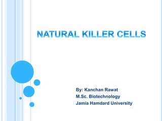 By: Kanchan Rawat
M.Sc. Biotechnology
Jamia Hamdard University
 