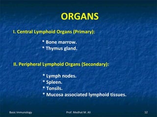 ORGANS
I. Central Lymphoid Organs (Primary):
* Bone marrow.
* Thymus gland.
II. Peripheral Lymphoid Organs (Secondary):
* Lymph nodes.
* Spleen.
* Tonsils.
* Mucosa associated lymphoid tissues.
Basic Immunology

Prof. Medhat M. Ali

12

 