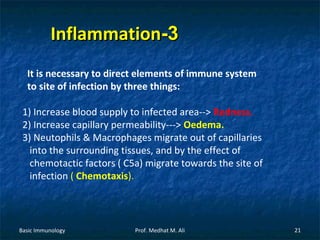 Inflammation-3
It is necessary to direct elements of immune system
to site of infection by three things:
1) Increase blood supply to infected area--> Redness.
2) Increase capillary permeability---> Oedema.
3) Neutophils & Macrophages migrate out of capillaries
into the surrounding tissues, and by the effect of
chemotactic factors ( C5a) migrate towards the site of
infection ( Chemotaxis).

Basic Immunology

Prof. Medhat M. Ali

21

 