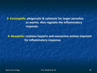 3- Eosinophils: phagocytic & cytotoxic for larger parasites
as worms. Also regulate the inflammatory
response.
4- Basophils: contains heparin and vasoactive amines imprtant
for inflammatory response.

Basic Immunology

Prof. Medhat M. Ali

30

 