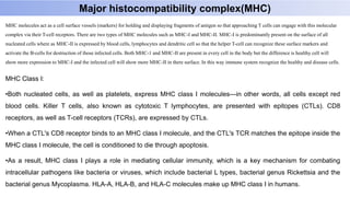 Major histocompatibility complex(MHC)
MHC molecules act as a cell surface vessels (markers) for holding and displaying fragments of antigen so that approaching T cells can engage with this molecular
complex via their T-cell receptors. There are two types of MHC molecules such as MHC-I and MHC-II. MHC-I is predominantly present on the surface of all
nucleated cells where as MHC-II is expressed by blood cells, lymphocytes and dendritic cell so that the helper T-cell can recognize these surface markers and
activate the B-cells for destruction of those infected cells. Both MHC-1 and MHC-II are present in every cell in the body but the difference is healthy cell will
show more expression to MHC-I and the infected cell will show more MHC-II in there surface. In this way immune system recognize the healthy and disease cells.
MHC Class I:
•Both nucleated cells, as well as platelets, express MHC class I molecules—in other words, all cells except red
blood cells. Killer T cells, also known as cytotoxic T lymphocytes, are presented with epitopes (CTLs). CD8
receptors, as well as T-cell receptors (TCRs), are expressed by CTLs.
•When a CTL's CD8 receptor binds to an MHC class I molecule, and the CTL's TCR matches the epitope inside the
MHC class I molecule, the cell is conditioned to die through apoptosis.
•As a result, MHC class I plays a role in mediating cellular immunity, which is a key mechanism for combating
intracellular pathogens like bacteria or viruses, which include bacterial L types, bacterial genus Rickettsia and the
bacterial genus Mycoplasma. HLA-A, HLA-B, and HLA-C molecules make up MHC class I in humans.
 