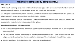 Major histocompatibility complex(MHC)
MHC Class II:
•MHC class II are being represented conditionally by any cell type, but it is most commonly found on "trained"
antigen-presenting cells such as macrophages, B cells, and, in particular, dendritic cells.
•An APC picks up an antigenic protein, processes it, and then restores a molecular fraction of it—the epitope—to
view on the APC's surface, which is bound to an MHC class II molecule.
•Immunologic structures such as T-cell receptors (TCRs) may identify the epitope on the surface of the cell. The
paratope is the molecular region that connects with the epitope.
Major Histocompatibility Complex Function
 MHC is a tissue-antigen that helps the immune system (specifically T cells) to recognise, bind to, and accept itself
(auto recognition).
 The MHC-peptide complex is essentially an auto-antigen/alloantigen complex. T cells should accept the auto-
antigen after binding but activate when exposed to the alloantigen. When this theory is violated, illness arises.
 Antigen Presentation: MHC molecules bind to T cell domain to activate T cells.
 