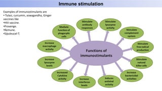 Examples of immunostimulants are
• Tulasi, curcumin, aswagandha, Ginger
vaccines like
•HIV vaccine.
•Provenge.
•Remune.
•Sipuleucel-T.
Immune stimulation
 