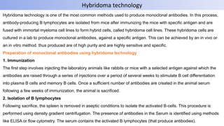 Hybridoma technology is one of the most common methods used to produce monoclonal antibodies. In this process,
antibody-producing B lymphocytes are isolated from mice after immunizing the mice with specific antigen and are
fused with immortal myeloma cell lines to form hybrid cells, called hybridoma cell lines. These hybridoma cells are
cultured in a lab to produce monoclonal antibodies, against a specific antigen. This can be achieved by an in vivo or
an in vitro method. thus produced are of high purity and are highly sensitive and specific.
Preparation of monoclonal antibodies using hybridoma technology
1. Immunization
The first step involves injecting the laboratory animals like rabbits or mice with a selected antigen against which the
antibodies are raised through a series of injections over a period of several weeks to stimulate B cell differentiation
into plasma B cells and memory B cells. Once a sufficient number of antibodies are created in the animal serum
following a few weeks of immunization, the animal is sacrificed.
2. Isolation of B lymphocytes
Following sacrifice, the spleen is removed in aseptic conditions to isolate the activated B-cells. This procedure is
performed using density gradient centrifugation. The presence of antibodies in the Serum is identified using methods
like ELISA or flow cytometry. The serum contains the activated B lymphocytes (that produce antibodies).
Hybridoma technology
 