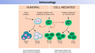 Immunology
 
