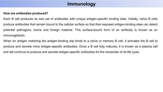 How are antibodies produced?
Each B cell produces its own set of antibodies with unique antigen-specific binding sites. Initially, naïve B cells
produce antibodies that remain bound to the cellular surface so that their exposed antigen-binding sites can detect
potential pathogens, toxins and foreign material. This surface-bound form of an antibody is known as an
immunoglobulin.
When an antigen matching the antigen-binding site binds to a naïve or memory B cell, it activates the B cell to
produce and secrete more antigen-specific antibodies. Once a B cell fully matures, it is known as a plasma cell
and will continue to produce and secrete antigen-specific antibodies for the remainder of its life cycle.
Immunology
 
